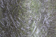 Horsehouse fibreglass roof work